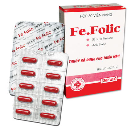 FE.FOLIC